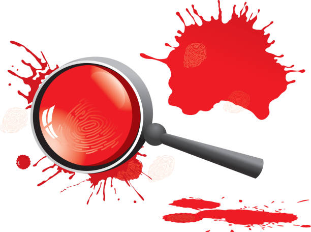 Murder mystery party service